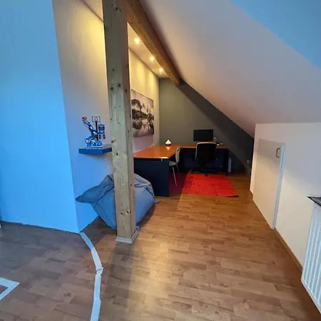 Lägenhet Black Forest Sports Loft Achern